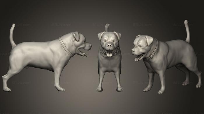 Статуэтки животных (Черная собака 0160, STKJ_0751) 3D модель для ЧПУ станка
